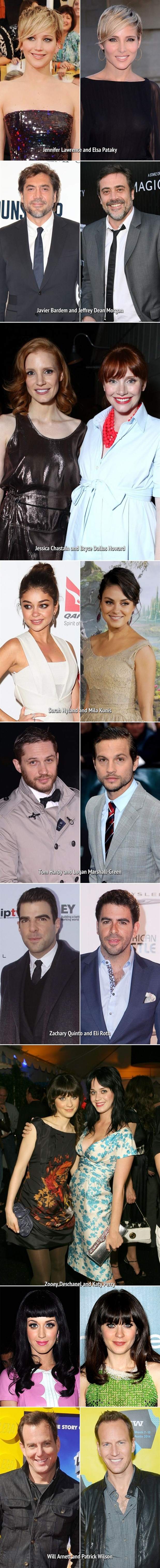 16 Celebs Who Look Like