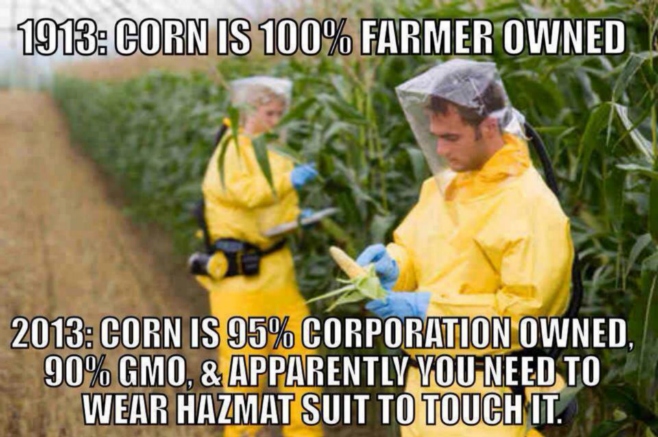 1913 - Corn is 100% farmer owned 2013 - Corn is 95% corporation owned, 90% GMO and apparently you need to wear hazmat suit to touch it