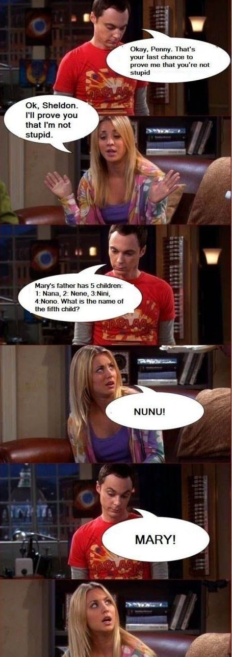 The Big Bang Theory - Sheldon Penny Quiz - Okay, Penny. That's your last chance to prove me that you're not stupid