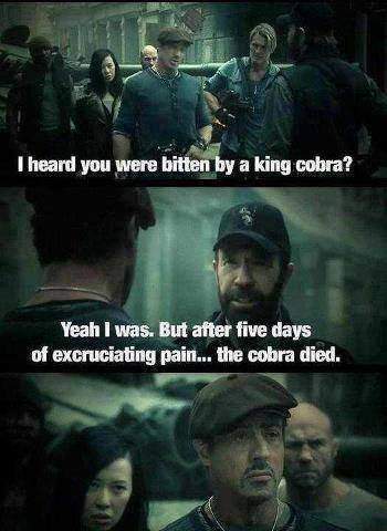 Chuck Norris - Snake bite joke from The Expendables 2