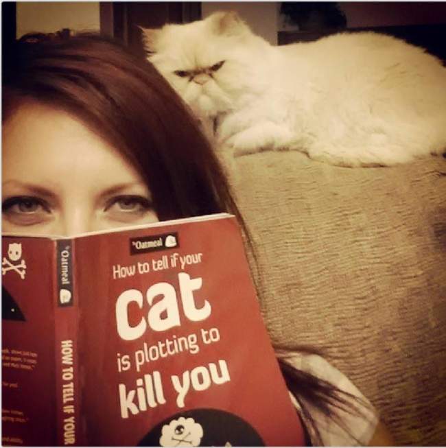 How to tell if your cat is plotting to kill you! 
