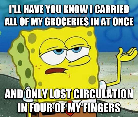 I'll have you know I carried all of my groceries in at once!