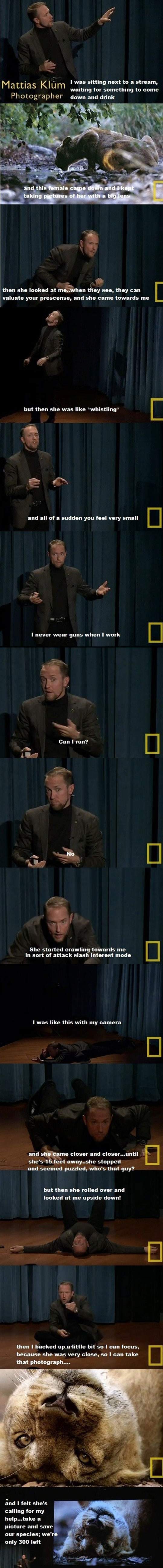 Mattias Klum (NG Photographer) Lion Encounter