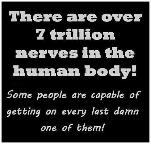 There are over 7 trillion nerves in the human body!