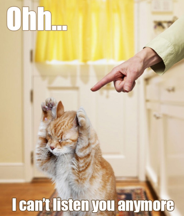 Cat thinking "I can't listen you anymore!"