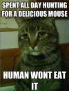 Cat - Spent all day hunting for a delicious mouse..